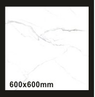 Gresie 60x60